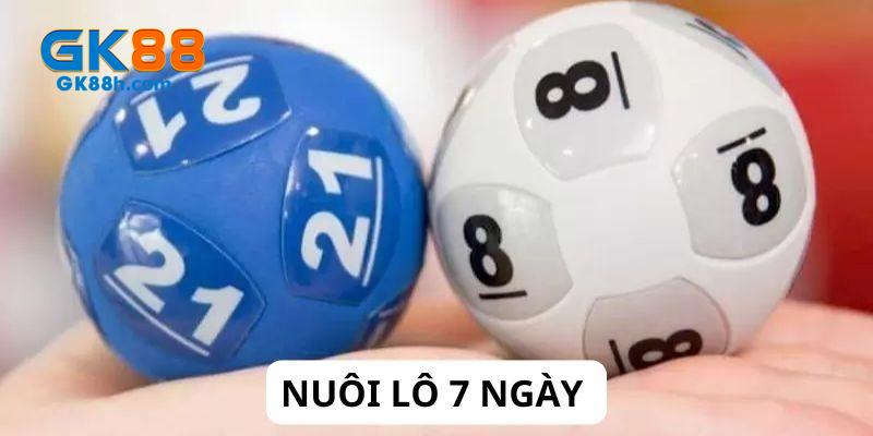 Nuôi lô 7 ngày